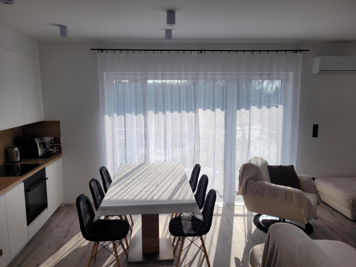 Leszka Loft Apartment Wodzisław Śląski 外观 照片